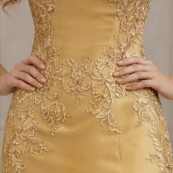 NWOT Gold Champagne Women’s Formal Military Kentucky Derby Wedding Gale Gown 10 - Picture 6 of 10